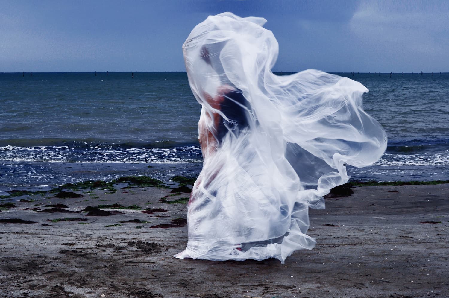 DAGGER MOTH 4 NEW MERMAID By Davide Pedriali