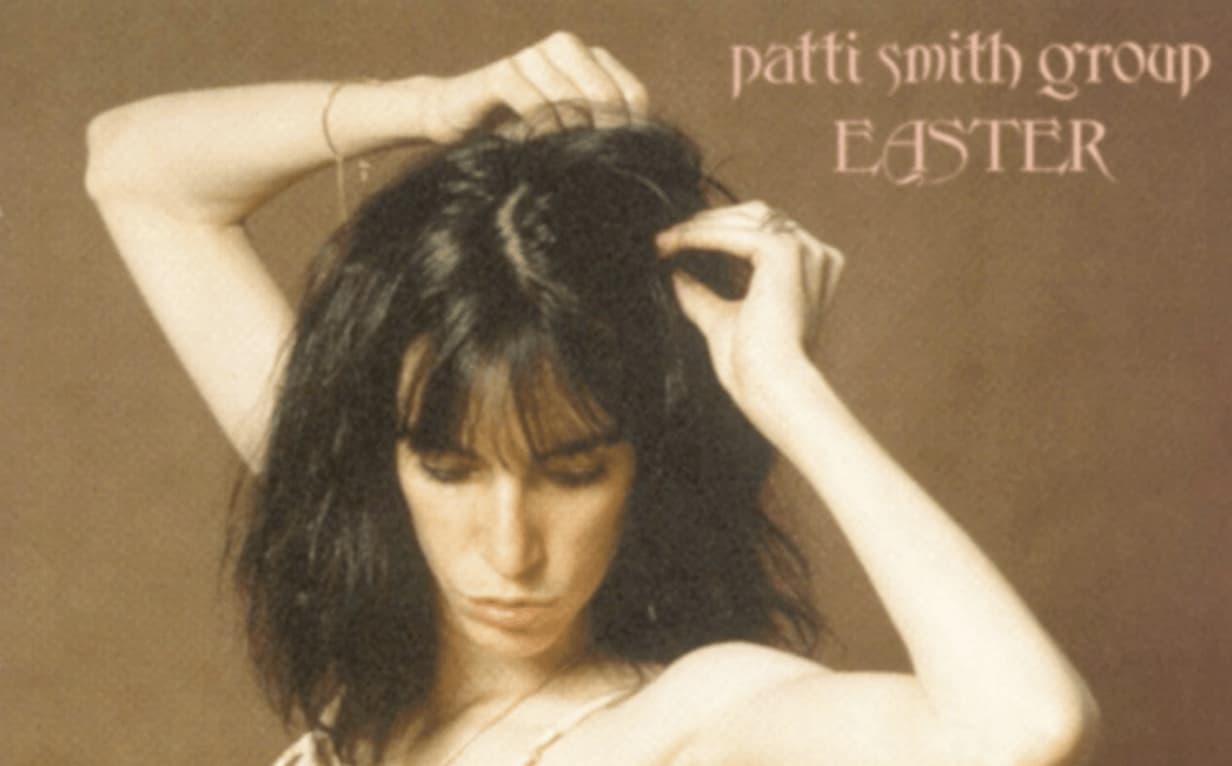Patti Smith Rock N Roll Nigger