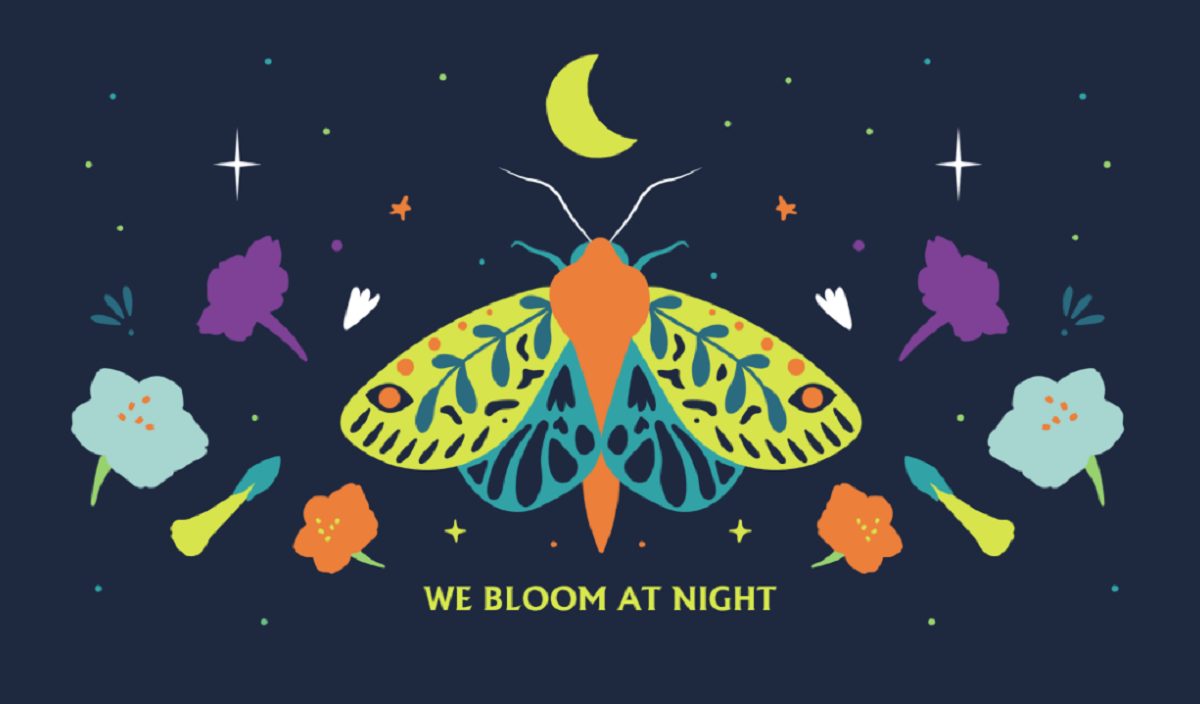 Viva Festival