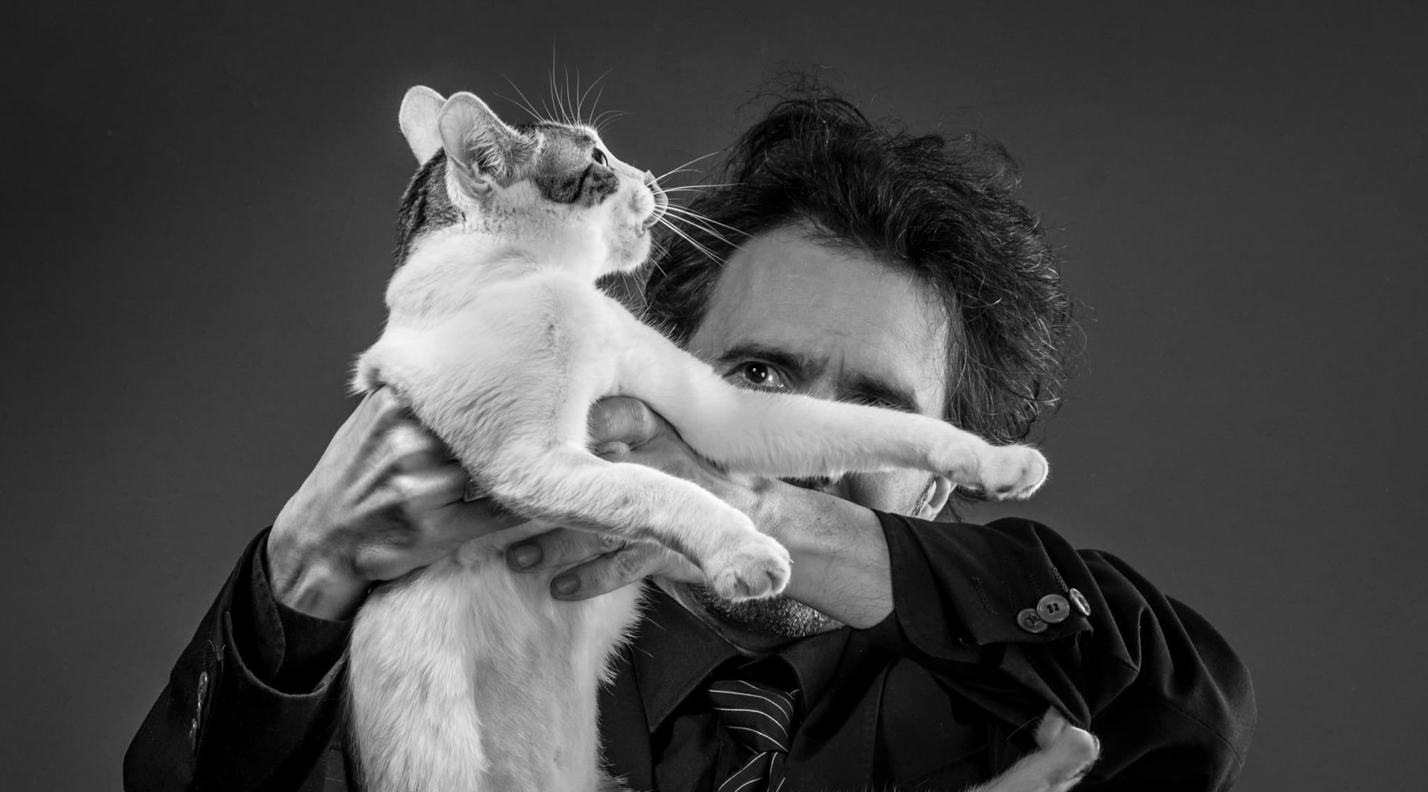 Swanz The Lonely Cat Foto 03 By Plastikwombat