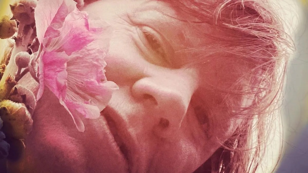 Thurston Moore Rewilding